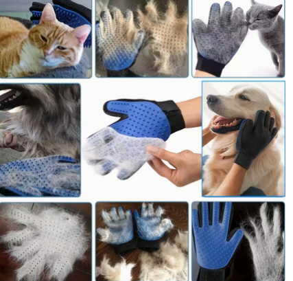 Paw Bundles – Puppy Starter Kit | Complete Essentials for New Puppies