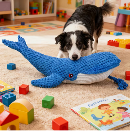 Paw Bundles Comfort & Play Bundle — Calm, Comfort & Daily Enrichment
