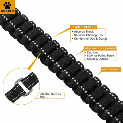 🐾 Paw Bundles – Shock-Absorbing Bungee Dog Leash (with Waste Bag Dispenser)