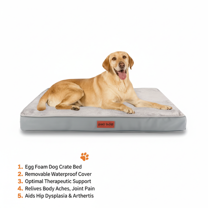 Paw Bundles Comfort & Play Bundle — Calm, Comfort & Daily Enrichment