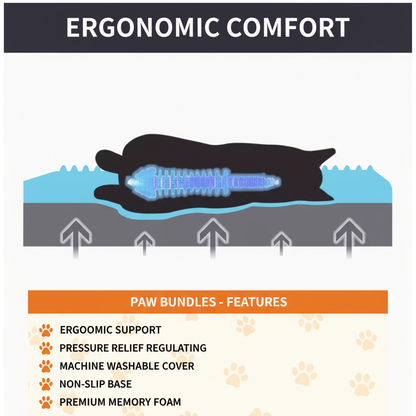 Paw Bundles Comfort & Play Bundle — Calm, Comfort & Daily Enrichment